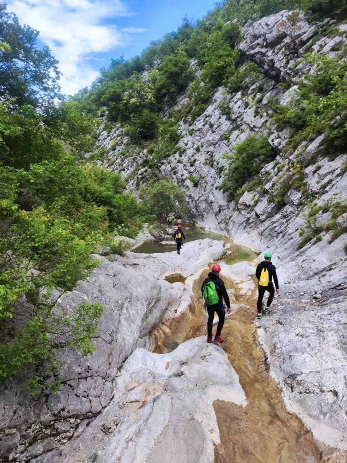 vrućica