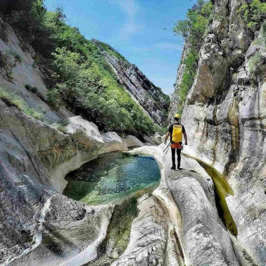 vrućica