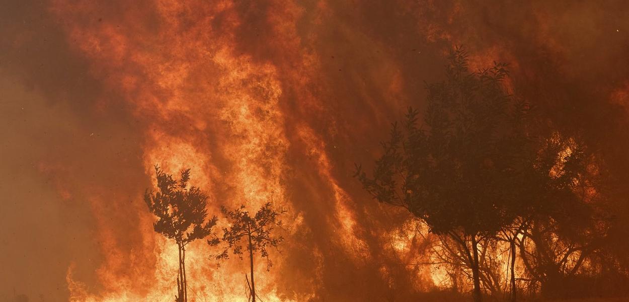 Požar u Španiji (Foto: Pablo Garcia/AP)