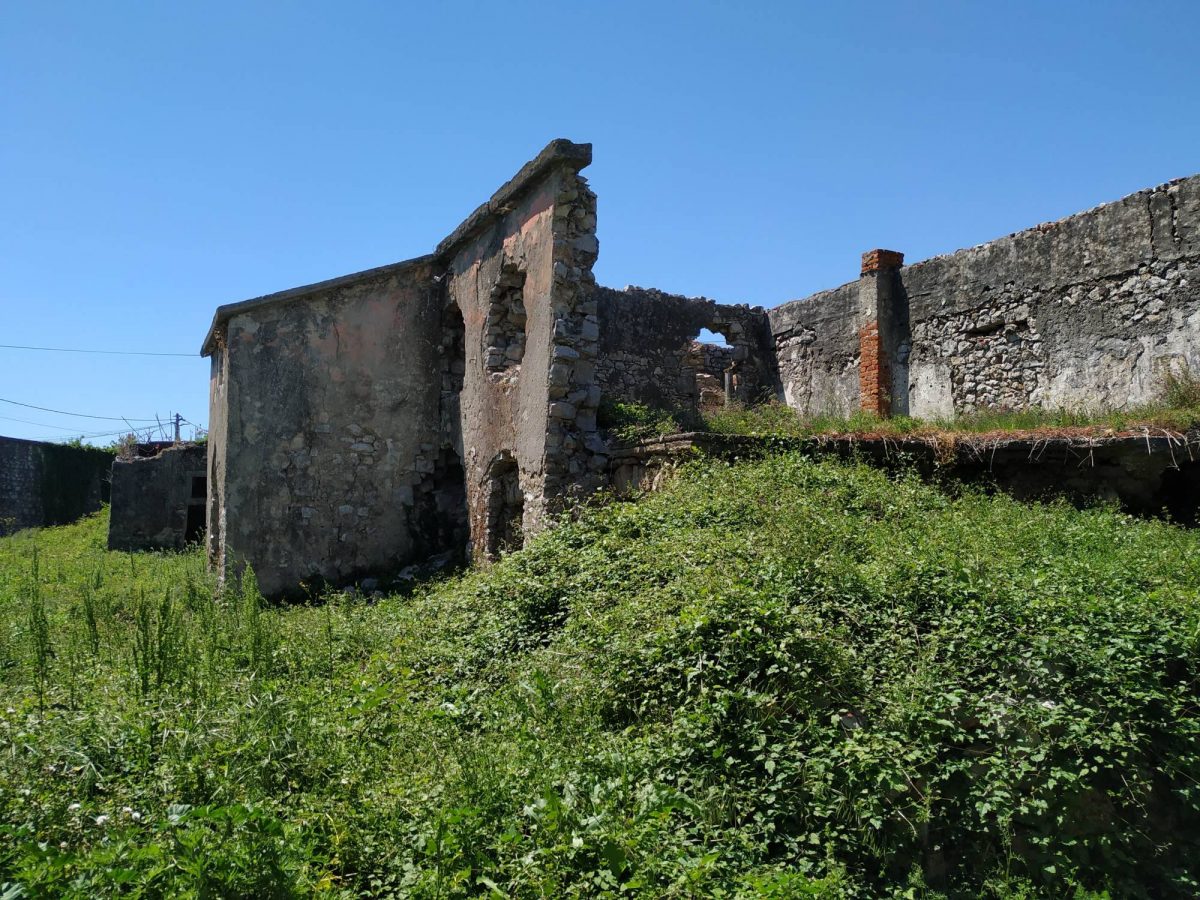 Jusovača 
