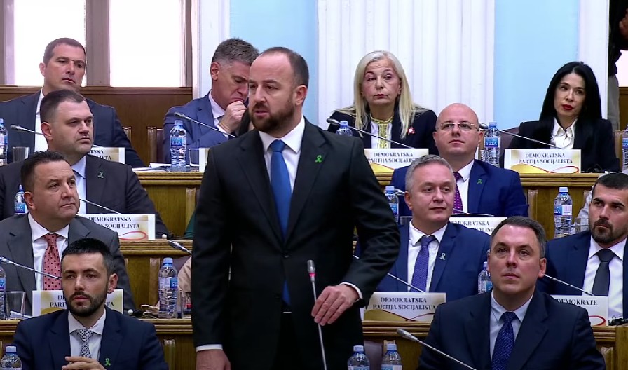 Andrija Nikolić (Foto: Skupština Crne Gore/Jutjub)