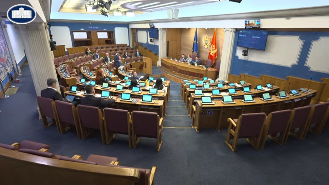 (Foto: Skupština Crne Gore/Youtube)