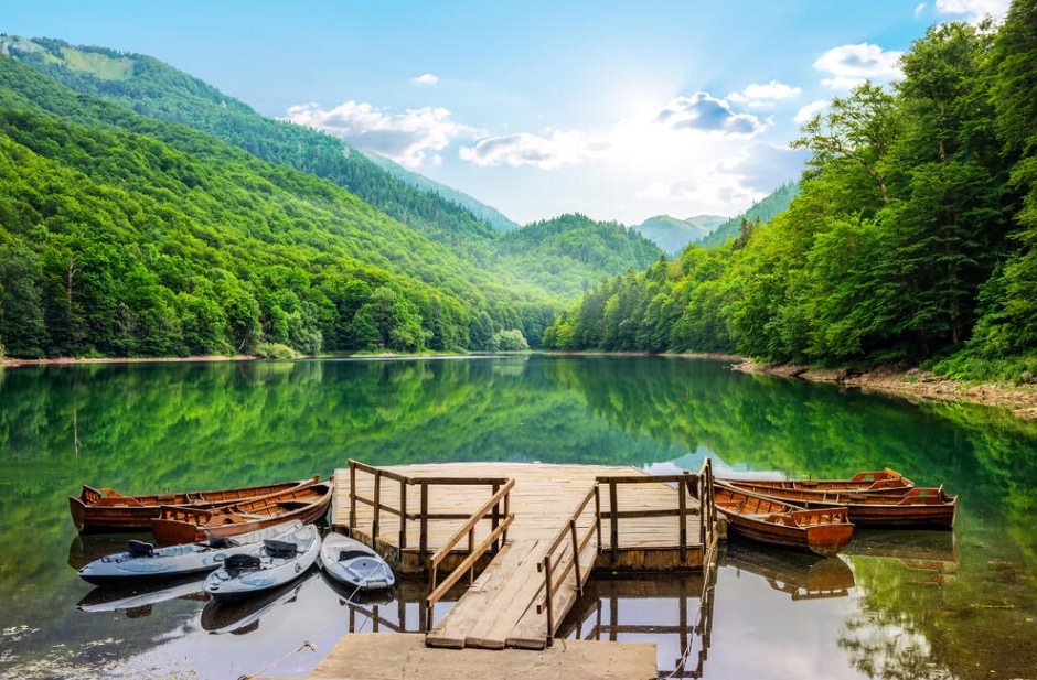 Biogradska gora (Foto: UGC)