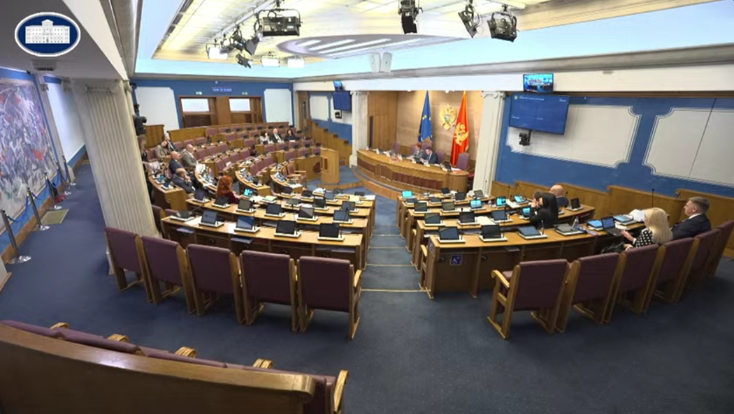 Sa sjednice Skupštine (Foto: Skupština Crne Gore/Youtube)