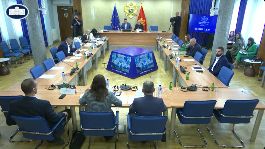 Sa sjednice Odbora (Foto: Skupština Crne Gore/Youtube)