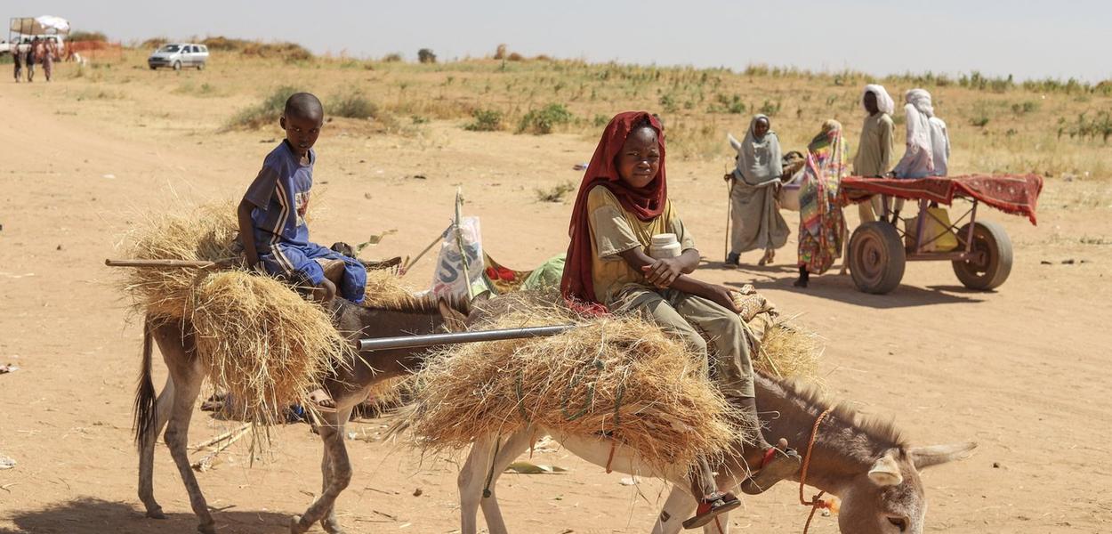 Sudanci koji su pobjegli iz grada el-Fasher, nakon što su sudanske paravojne snage ubile stotine ljudi u zapadnom Darfuru, nose drva za ogrjev u svom kampu u Tawili (Foto: AP photo/Mahmoud Hjaj)