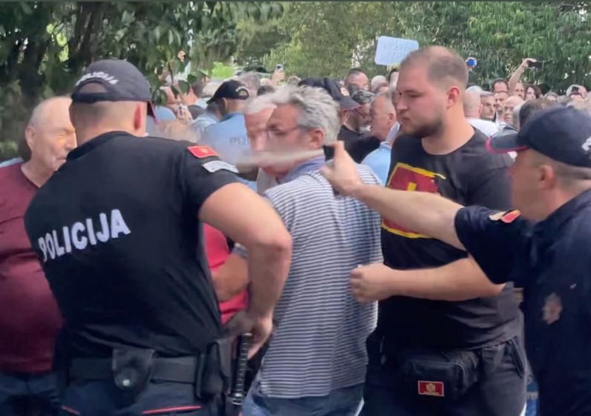 BIBER SPREJ DIREKTNO U OČI: Policajac onesposobljava mirnog starijeg demonstranta