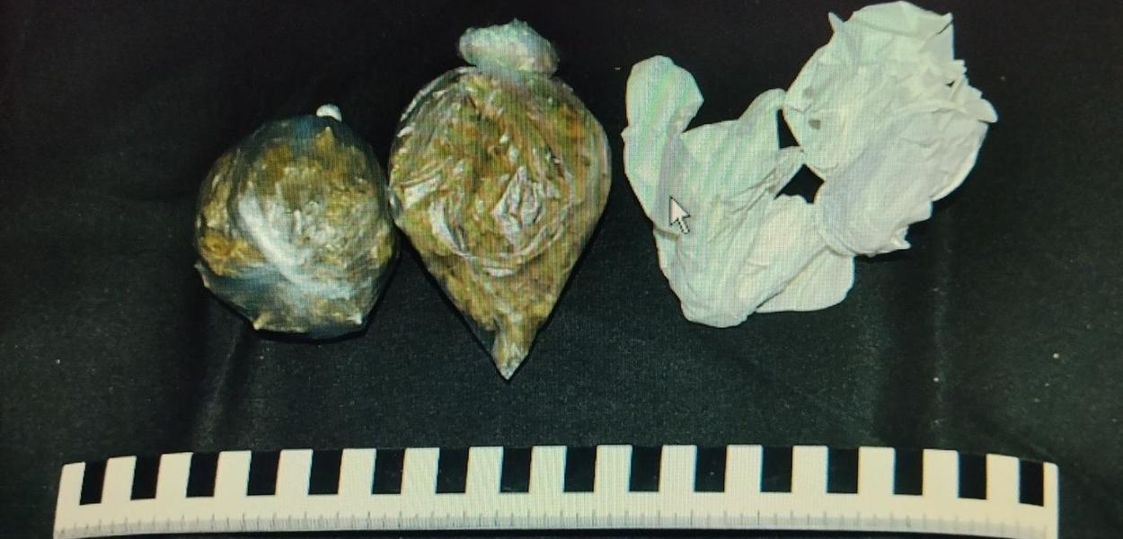 Zaplijenjena droga (Foto: Uprava policije)