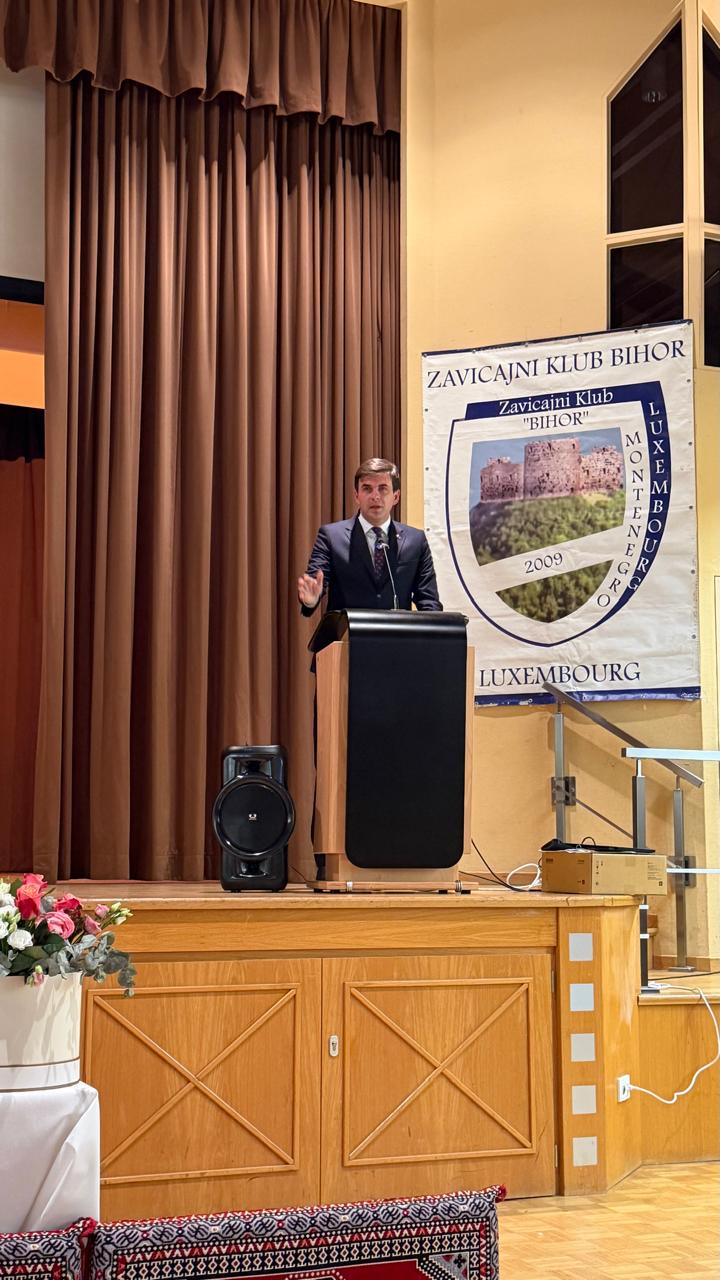 ministarstvo djaspore