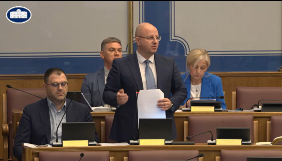 (Foto: Skupština Printscreen)