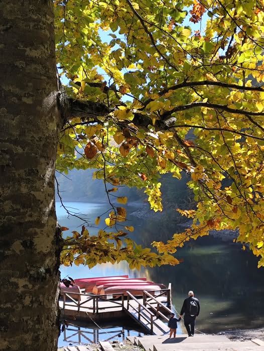 (Foto: NP Biogradska gora/Facebook)