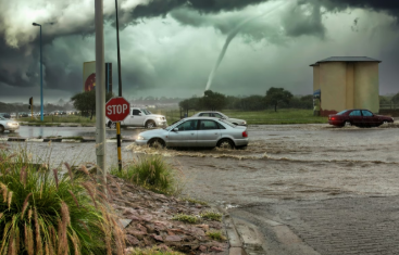  (Foto: Shutterstock/Lucian Coman)