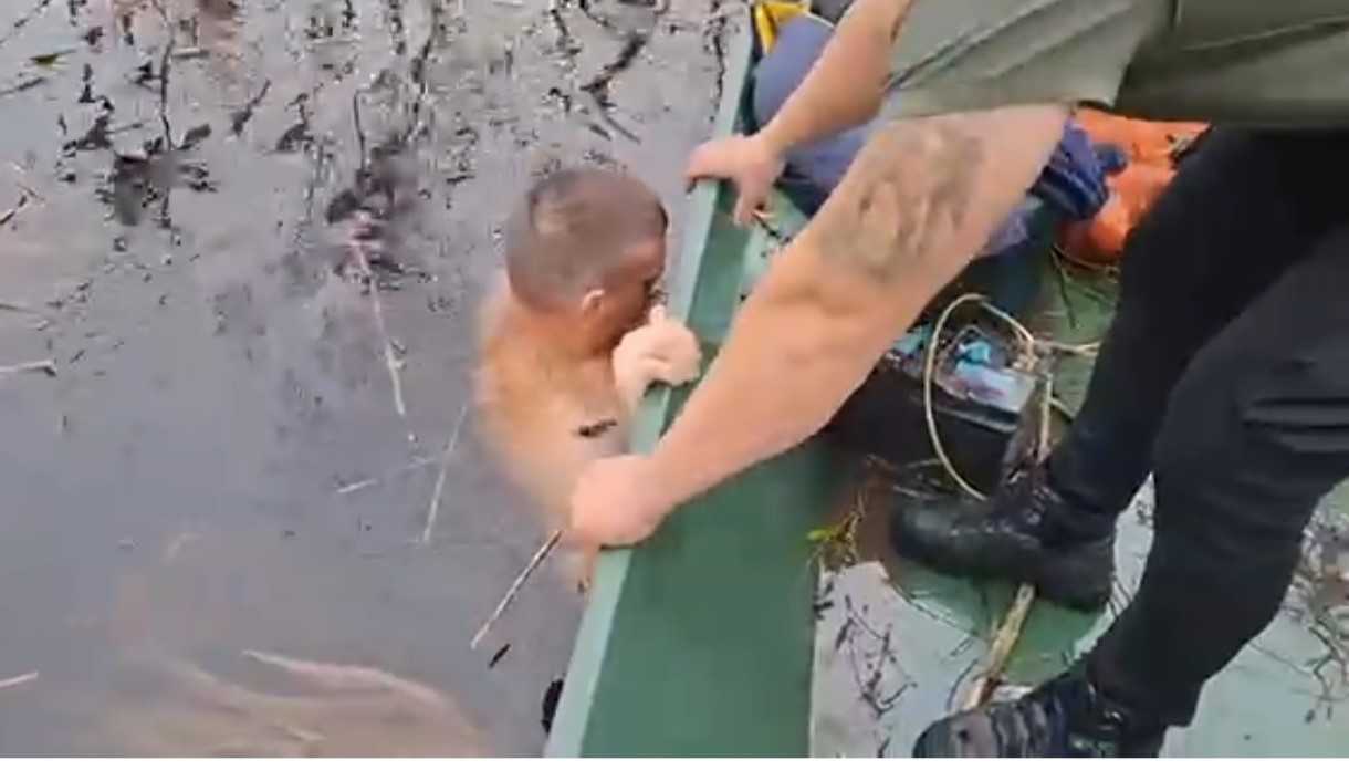 Izronili pušku iz Skadarskog jezera