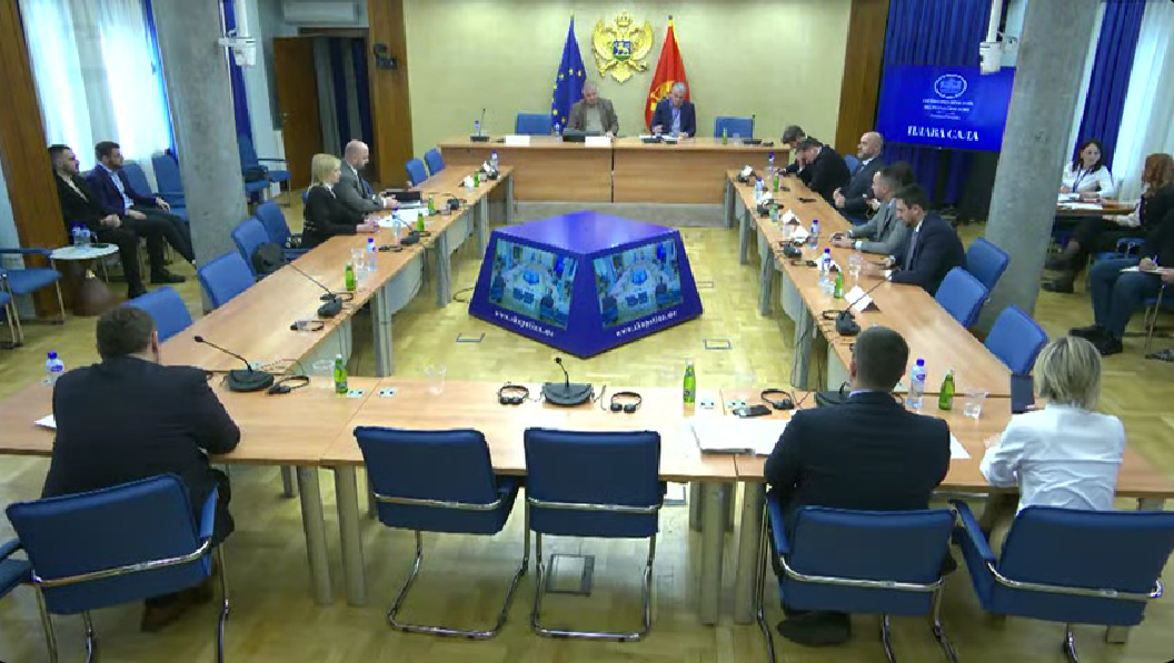 Sa sjednice odbora (Foto: Skupština Crne Gore/Youtube)