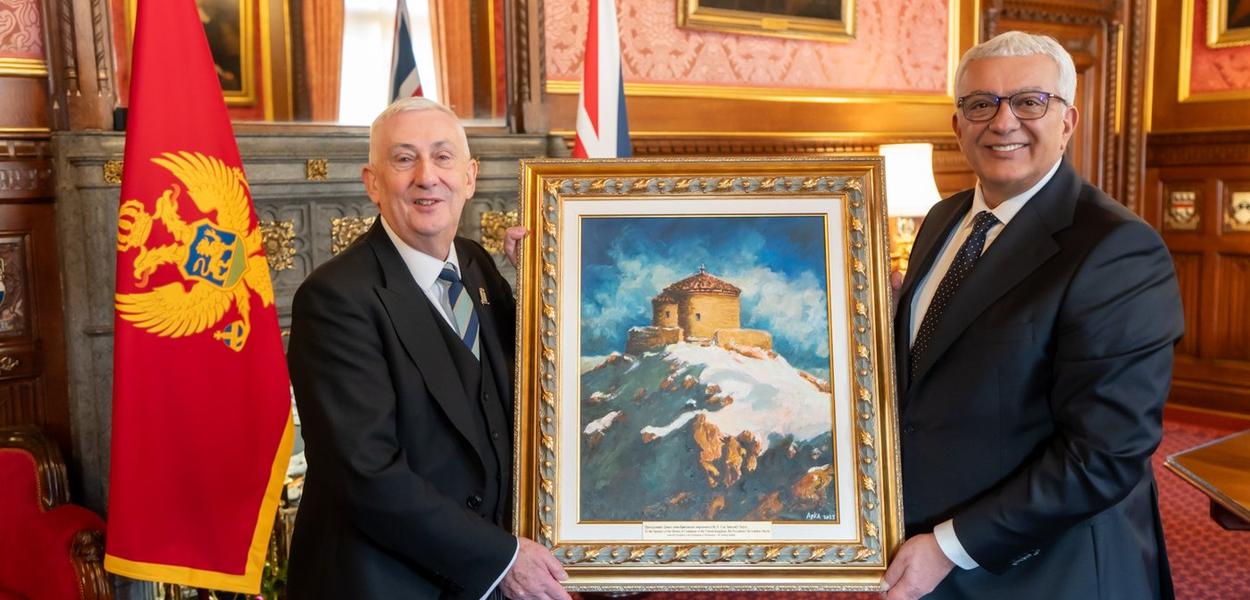 (Foto: Skupština CG)