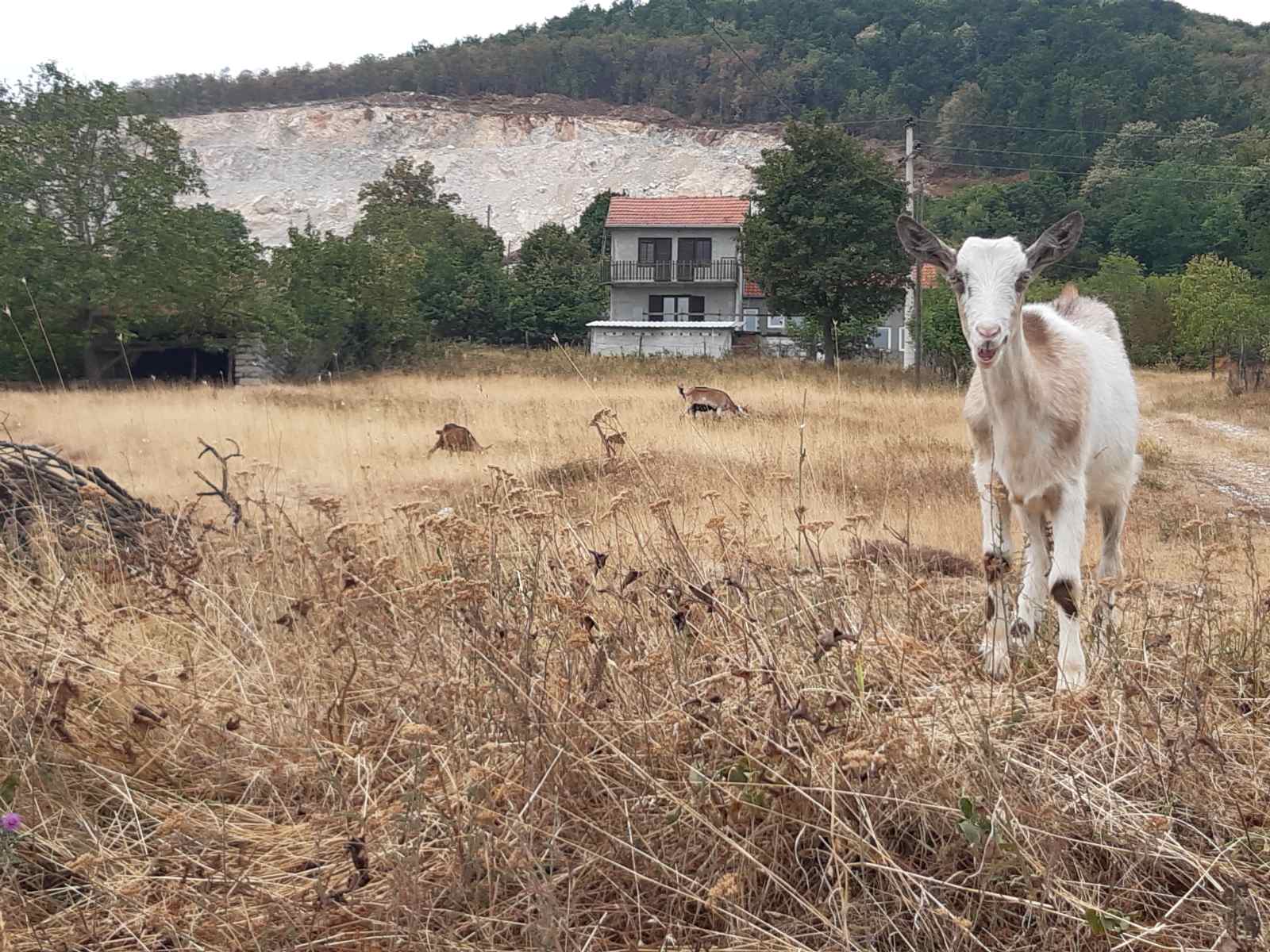 Selo u podnožju planine Venčac.