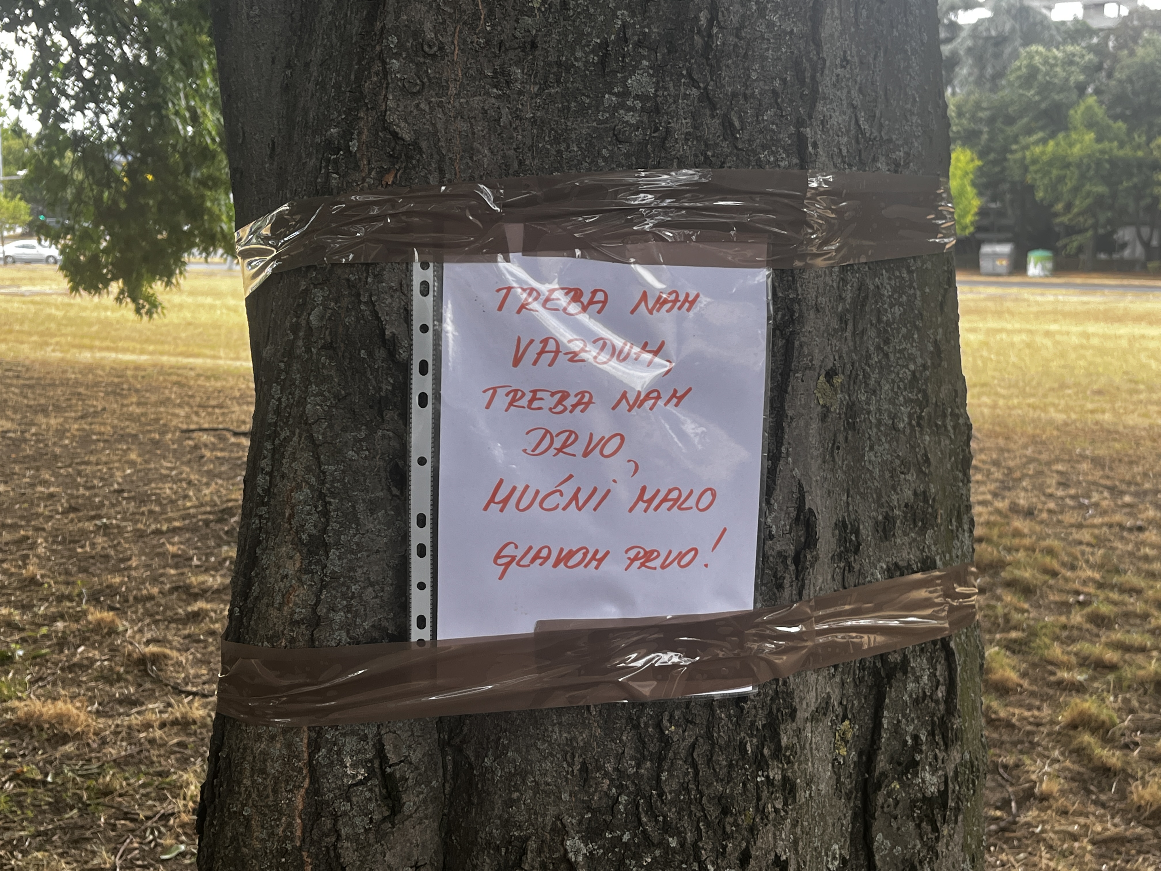 Poruke Ušće Stabla