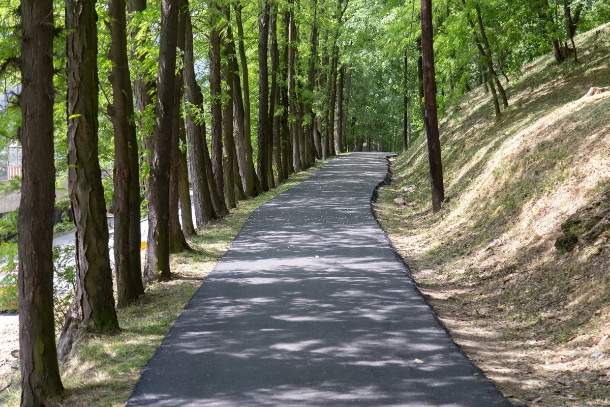 Pećina pre seče drveća