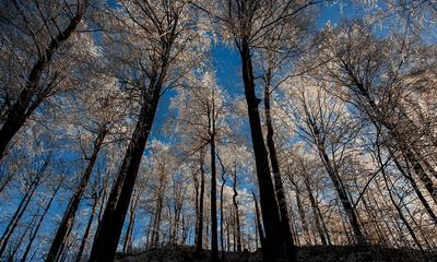 <p>Šuma na Jablaniku</p>