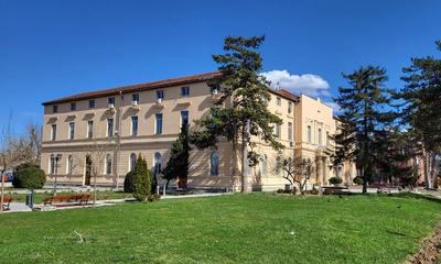 <p>Mionica</p>