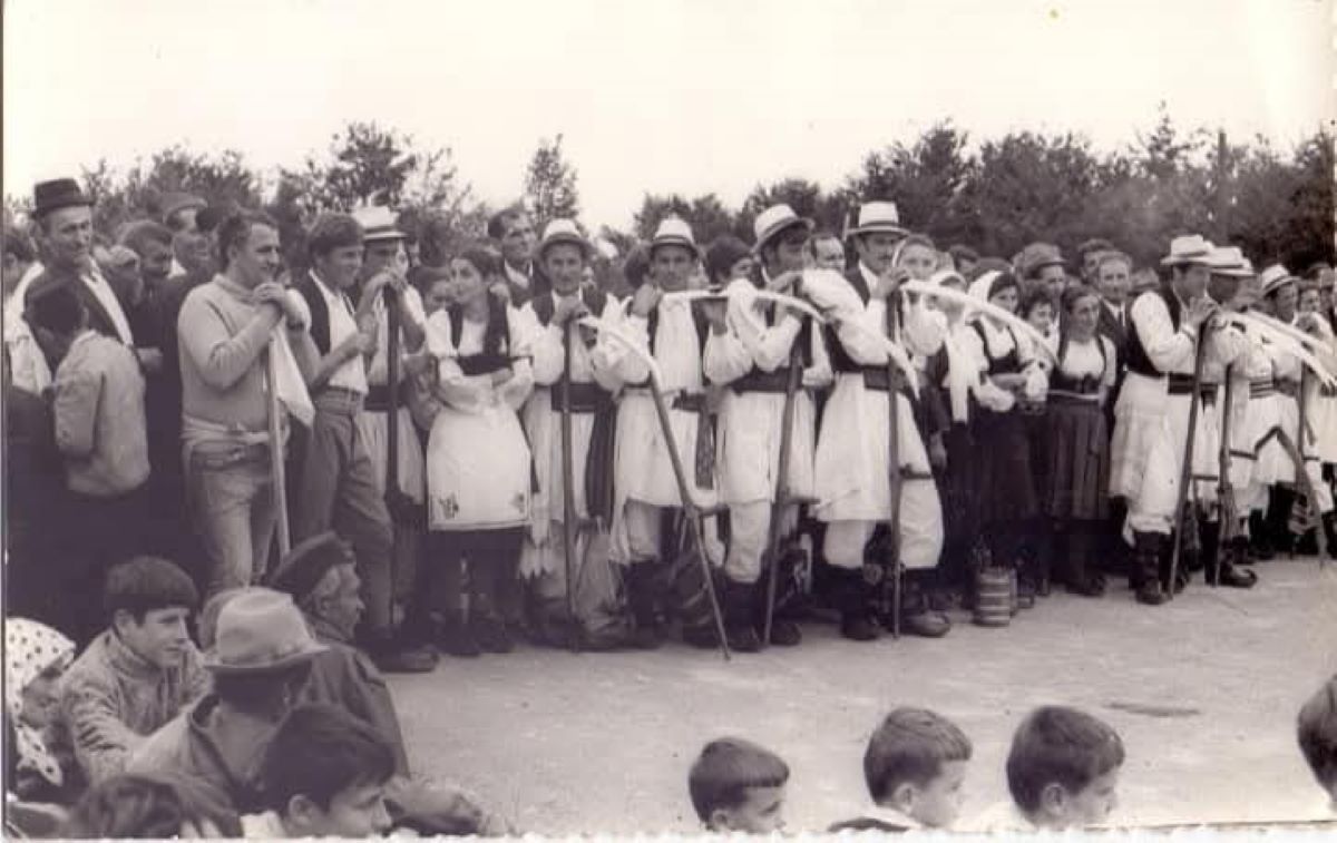Prva Kosidba