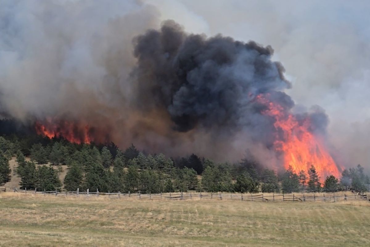 Požar u Tometinom polju (Foto: Meštani)