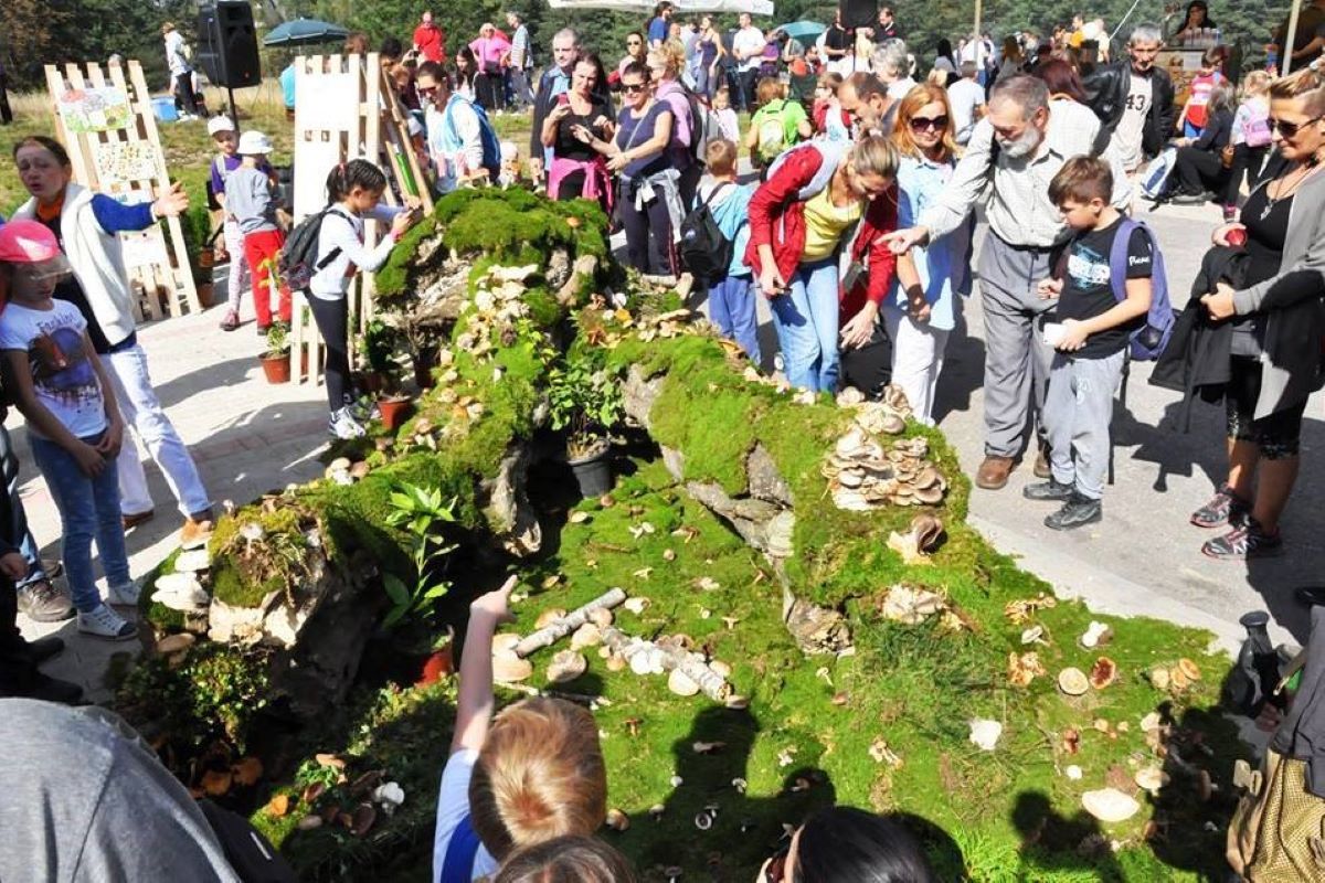 Dani gljiva na Divčibarama