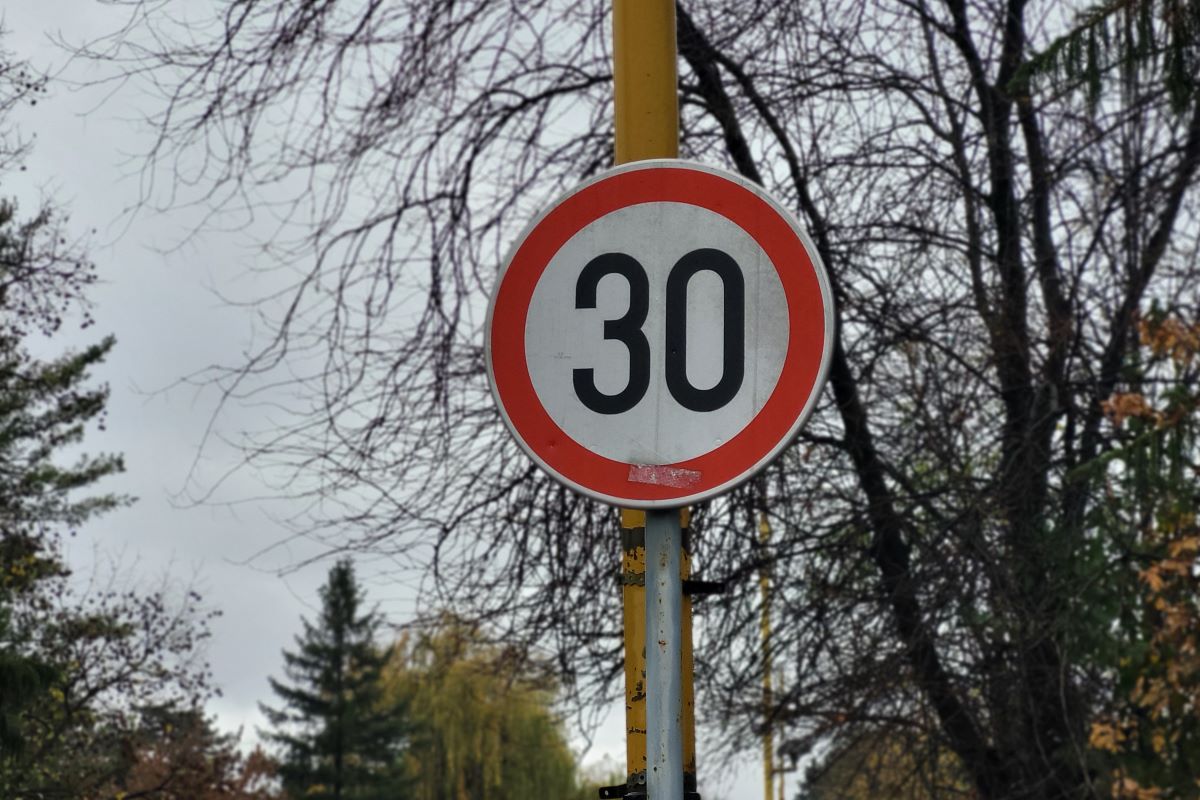 Zona 30 (Foto: Kolubarske.rs)