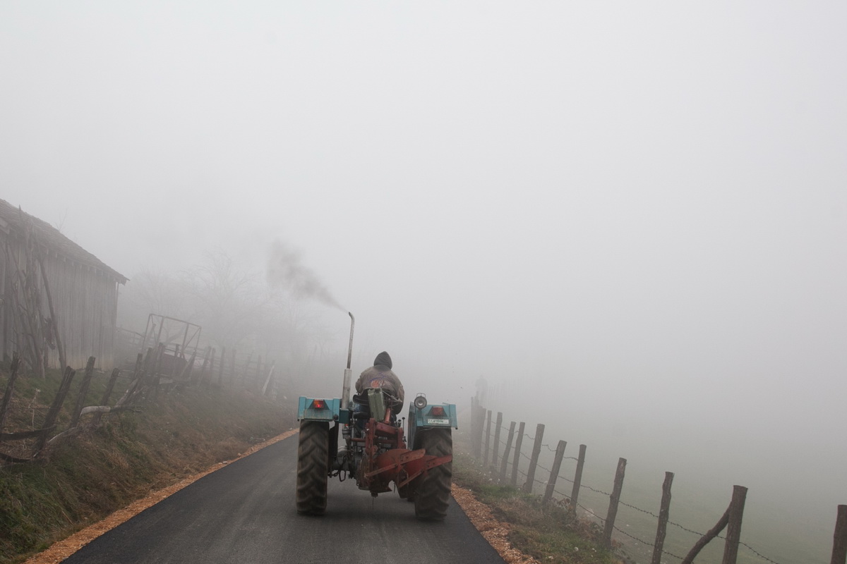 Asfalt pred izbore (ilustracija) (Foto: Đorđe Đoković)
