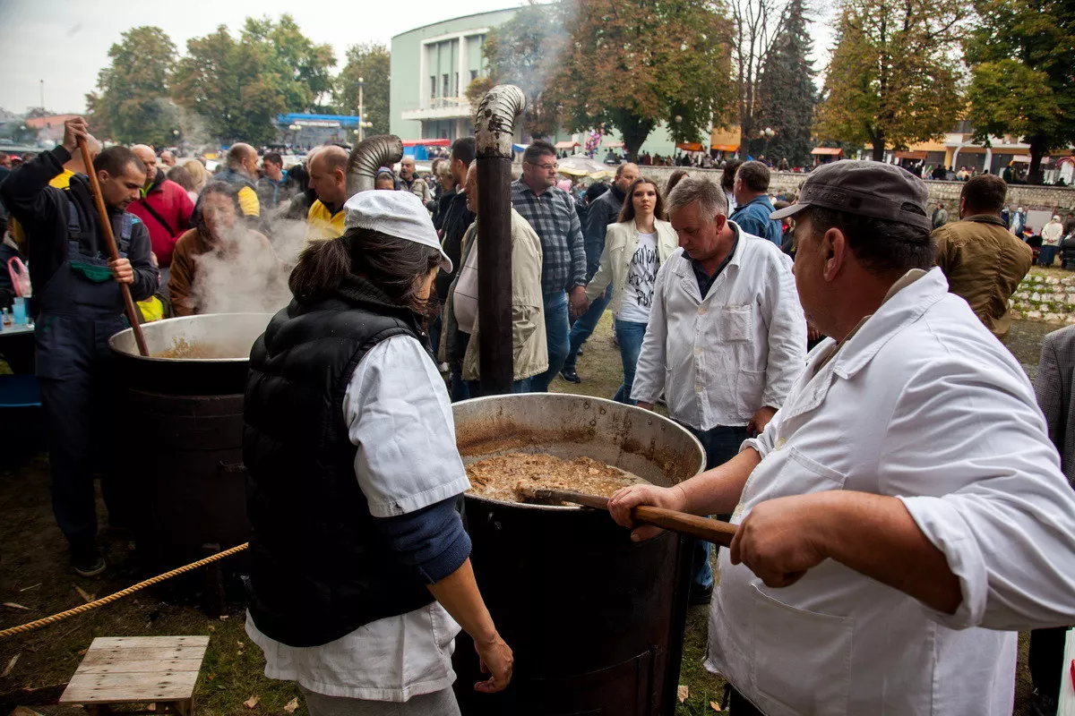 Festival duvan čvaraka (arhiva)