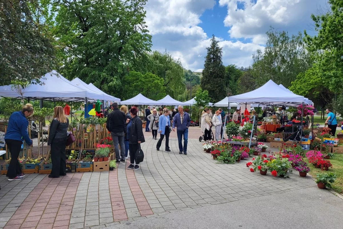 Izložba cveća u Parku na Jadru (april)