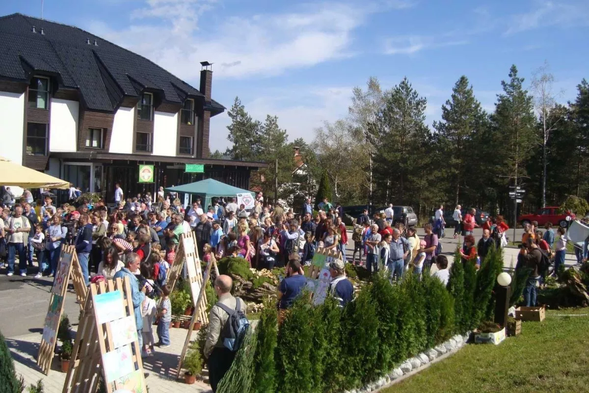 Dani gljiva na Divčibarama