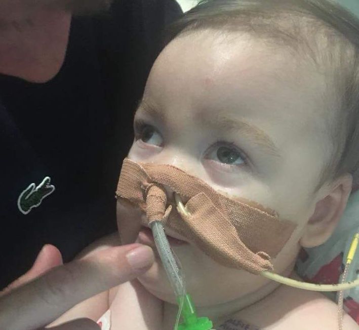 An image of Alfie taken April 23, 2018. An image of Alfie taken April 23, 2018.