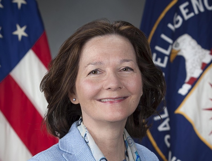 Gina Haspel, the CIA’s deputy director Gina Haspel, the CIA’s deputy director