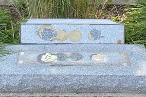 Vandalized monument at Our Lady of the Assumption Church in Bloomingburg, New York. Vandalized monument at Our Lady of the Assumption Church in Bloomingburg, New York.