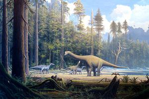 Painting of a late Jurassic scene in northern Germany, showing several iguanodons and an adult and a juvenile specimen of the sauropod Europasaurus holgeri. Painting of a late Jurassic scene in northern Germany, showing several iguanodons and an adult and a juvenile specimen of the sauropod Europasaurus holgeri.