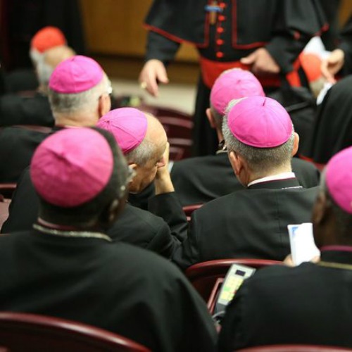 Bishop attend a session of the synod on the family at the Vatican on Oct. 10. Bishop attend a session of the synod on the family at the Vatican on Oct. 10.