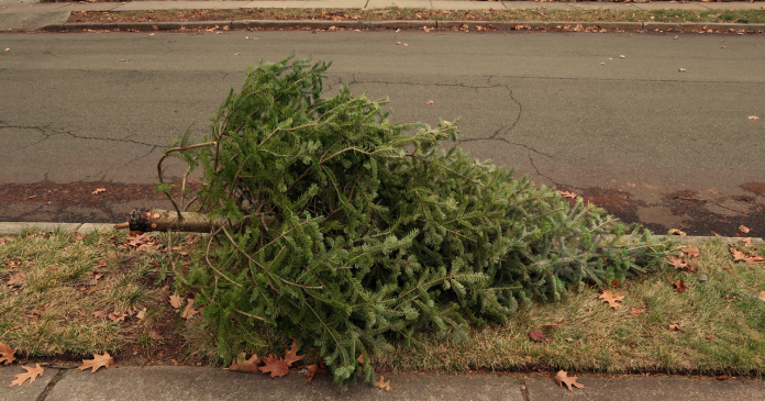 Click on the When Does Christmas Actually End? link to read more. Click on the When Does Christmas Actually End? link to read more.