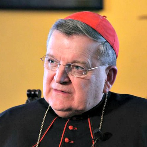 Cardinal Raymond Burke Cardinal Raymond Burke
