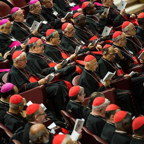Extraordinary assembly of the Synod of Bishops on the family last October. Extraordinary assembly of the Synod of Bishops on the family last October.