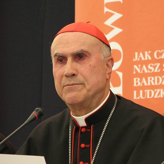 Cardinal Tarcisio Bertone, the Vatican's secretary of state Cardinal Tarcisio Bertone, the Vatican's secretary of state