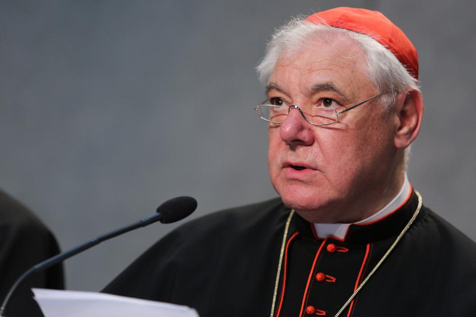 Cardinal Gerhard Müller. Cardinal Gerhard Müller.