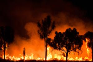 Bushfire burning in Australia. Bushfire burning in Australia.