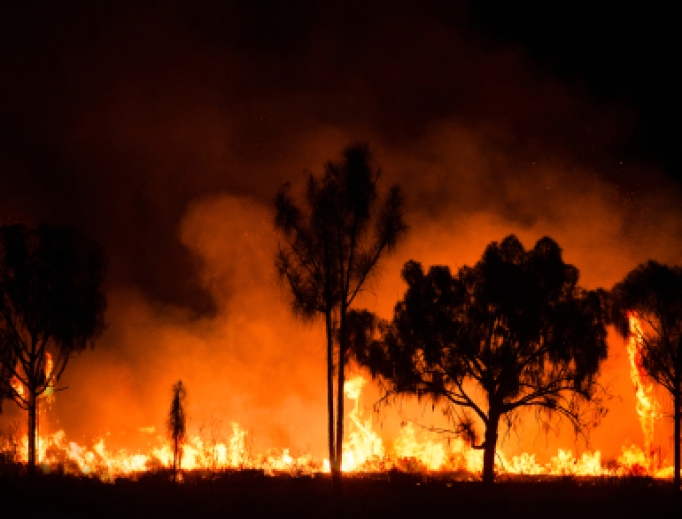 Bushfire burning in Australia. Bushfire burning in Australia.