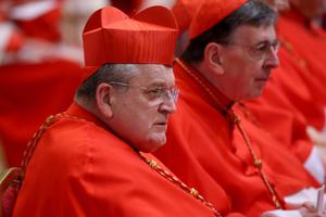 Cardinal Raymond Burke Cardinal Raymond Burke