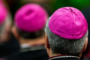 Italian bishops with Pope Francis at CEI assembly May 20, 2019. Italian bishops with Pope Francis at CEI assembly May 20, 2019.