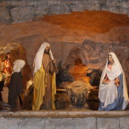 The Vatican's large Nativity scene, pictured here in St. Peter's Square last year, is kept under wraps until Christmas Eve. The Vatican's large Nativity scene, pictured here in St. Peter's Square last year, is kept under wraps until Christmas Eve.