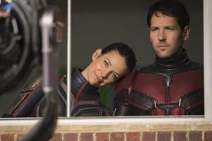 The Wasp (Evangeline Lilly) and Ant-Man (Paul Rudd) team up again. The Wasp (Evangeline Lilly) and Ant-Man (Paul Rudd) team up again.