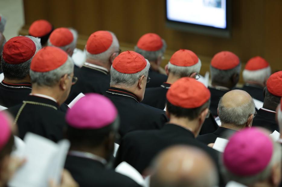 Inside the Synod Hall during the meeting of bishops and cardinals on October 14, 2015. Inside the Synod Hall during the meeting of bishops and cardinals on October 14, 2015.