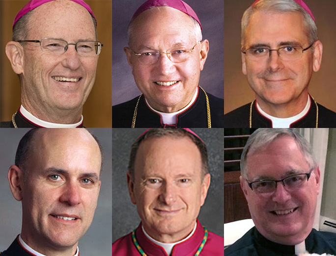 TOP (L to R): Bishop Conley, Bishop Morlino, Archbishop Coakley. BOTTOM: Bishop Rhoades, Bishop Barber, Bishop Tobin. TOP (L to R): Bishop Conley, Bishop Morlino, Archbishop Coakley. BOTTOM: Bishop Rhoades, Bishop Barber, Bishop Tobin.